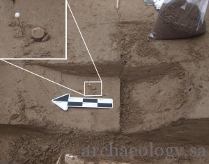 A salmon bone is shown as it is excavated from the Upward Sun River site in Alaska. CREDIT :Photo courtesy of Ben Potter, UAF